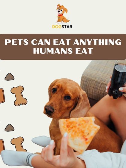 One of the biggest myths is that pets can eat anything humans eat. Many human foods, like pizza, can be harmful or even toxic to pets, so it is crucial to stick to a diet formulated for them.