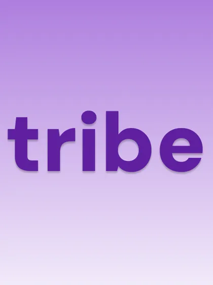 a logo design for 'tribe' on a gradient background. this demonstrates how a simple wordmark can be effective and modern.