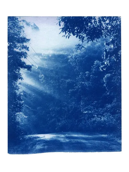 A cyanotype print capturing dramatic sunbeams filtering through a forest canopy. This process, invented in 1842, is perfect for high-contrast scenes like this.