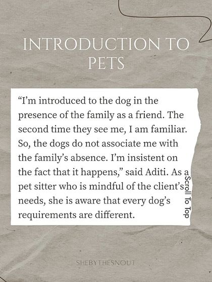 As this article mentions, the meet and greet is essential. I insist on meeting your dog with you present first, so they see me as a friend and don't associate me with your absence.
