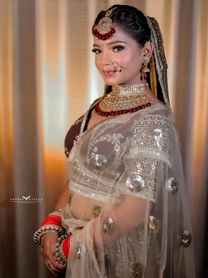 A half-length portrait focusing on the sheer, sequined dupatta and the bride's elegant pose.