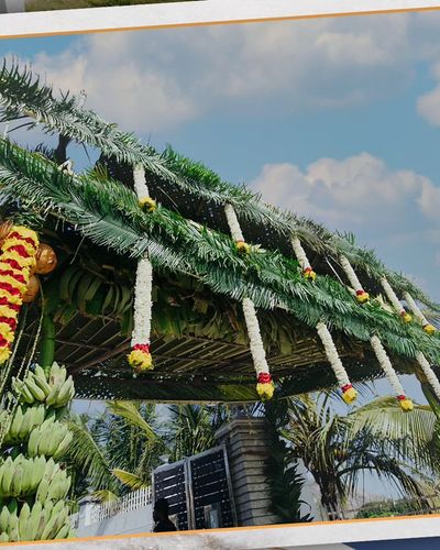 Family & Social Event Decoration