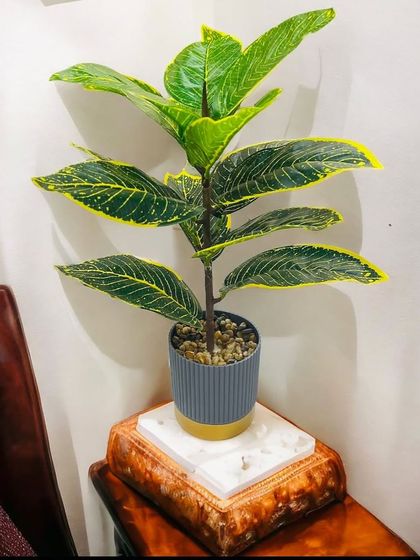 This plant showcases large, glossy leaves with distinct yellow edges. It's a great example of a faux plant that adds a touch of the tropics to your decor in a small, manageable size.