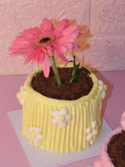 A cheerful yellow flower pot mini cake, decorated with little buttercream daisies and topped with a bright pink gerbera.