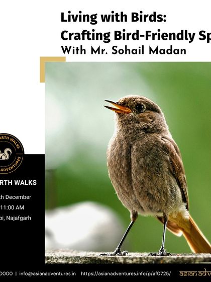 Creative Nature Workshops photo 5