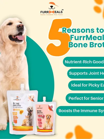 Still wondering about the bone broth craze? Here are five key reasons to try it: it's packed with nutrients, supports joint health, tempts picky eaters, is perfect for senior pets, and boosts the immune system.