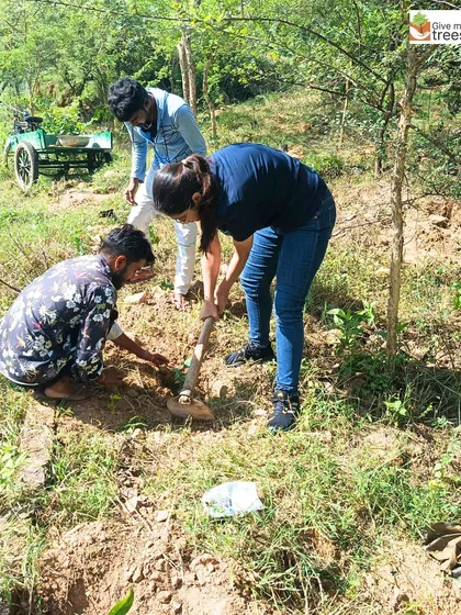 Volunteers at our Jaunapur City Forest site. These images show individuals from the community taking initiative, digging, planting, and learning from our team, embodying the spirit of grassroots environmentalism.