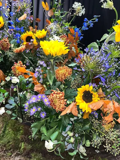 A closer look at the textures within the "Glorious Colorful Meadow" set. I layered different flowers like sunflowers and chrysanthemums to create depth and a feeling of natural, beautiful chaos.