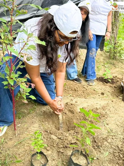 A group of dedicated volunteers, mostly women, taking part in a plantation event. Their commitment is helping us grow a green legacy, and they are true eco-heroes building a more sustainable future.