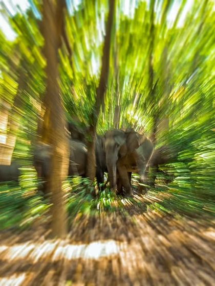 The Art of Seeing: Creative Compositions photo 21