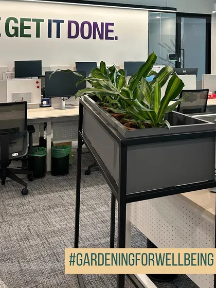 Bringing nature into the workplace boosts wellbeing and productivity. We design and install green solutions for offices, using hardy, air-purifying plants in custom planters to create a healthier and more inspiring work environment.