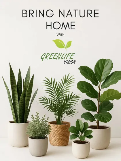 Our core mission is to help you bring nature home. We provide consultations to help you select the perfect plants, like the Snake Plant, Areca Palm, and Fiddle Leaf Fig, for your space and lifestyle.