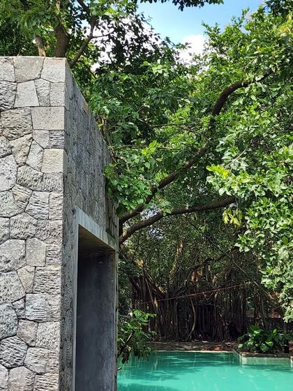 The stone wall of 'Villa 16' rises to meet the tree canopy. The bedrooms are like lanterns suspended in the trees, meant to glow at night.