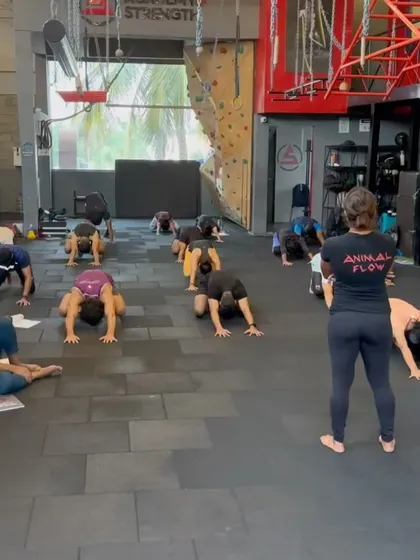 An action shot from the Animal Flow workshop. Here, we're learning the fundamentals of ground-based movement from our instructor.