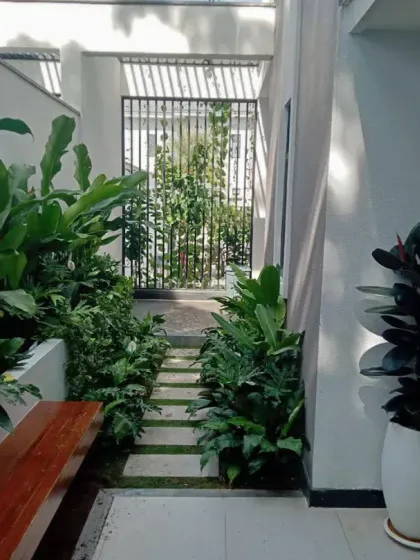 A narrow side passage transformed into a charming walkway with a wooden bench. The space is filled with shade-loving plants, creating a cool and quiet retreat.