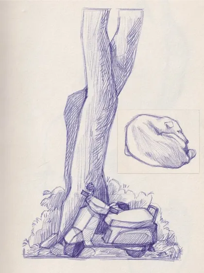 A ballpoint pen sketch of a tree and a scooter from a monsoon sketching day at Sanjay Gandhi National Park.