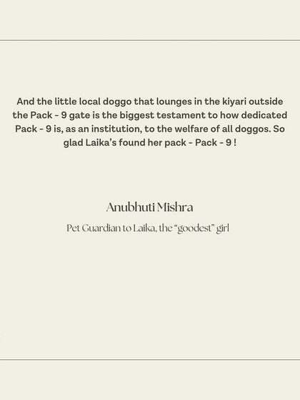 "The little local doggo that lounges in the kyari outside the Pack-9 gate is the biggest testament to how dedicated Pack-9 is." This observation means so much to us. Our love for dogs extends to our entire community.