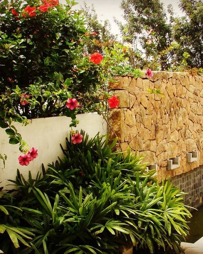 Landscape Architecture