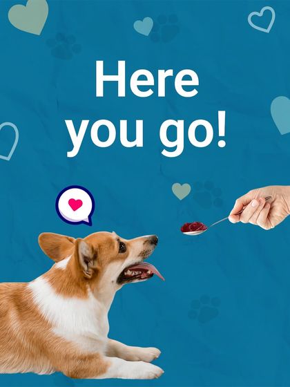 A spoonful of happiness. Our Funlicks Jams are a super tasty way to make any meal extra special for your furry best friend.