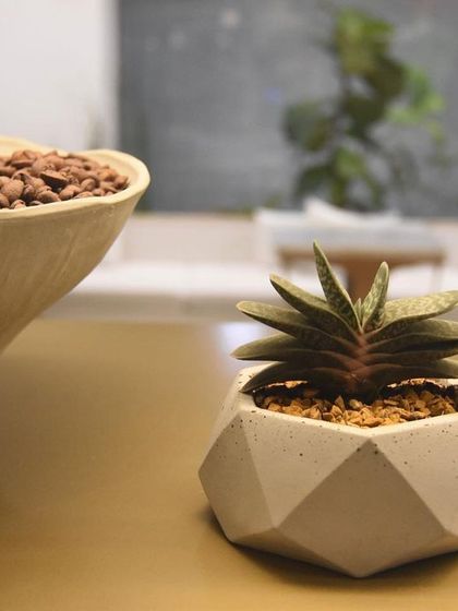 Sora Garden Design - Interior Plantscaping & Container Gardening Greening Commercial Spaces photo 3