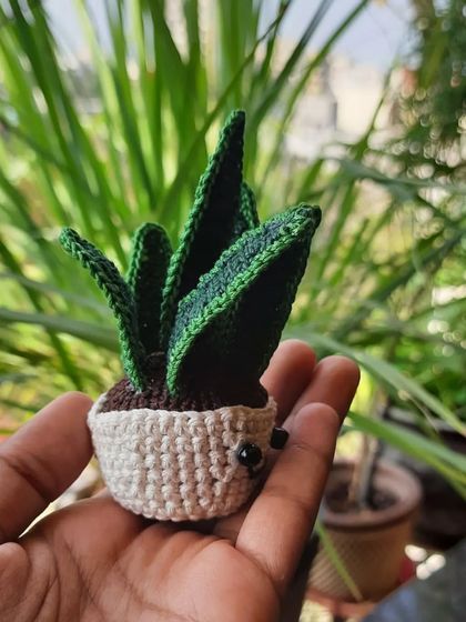 Everlasting Plants & Fun Foods photo 5