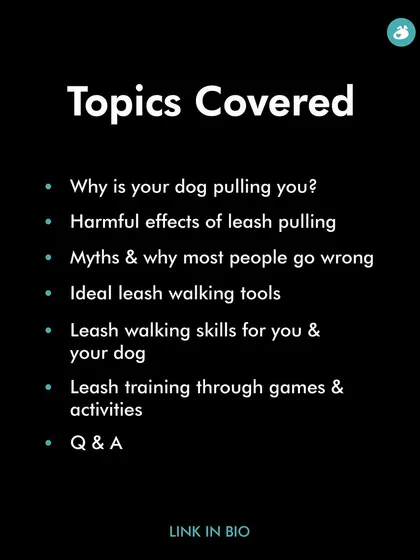 In my "Solve Leash Pulling" masterclass, we cover everything from the root causes of pulling to the right tools and training skills. This slide shows the detailed topics covered, ensuring you get a comprehensive, step-by-step plan.