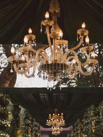 Grand Receptions & Gala Nights photo 20