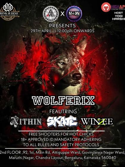 "Wolferix" themed party flyer, where I was part of a three-DJ lineup.