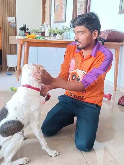 Building trust is the first step in any grooming session, especially with a timid dog like Eva. Our groomer Veerendra takes the time to make friends first, ensuring the experience is calm and positive before the bath even begins.