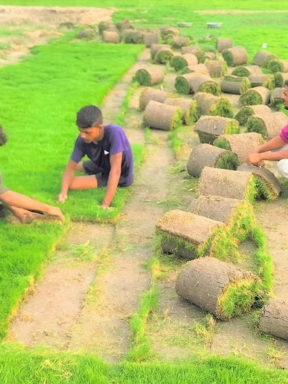Three of my team members working together to harvest and prepare the natural turf rolls.