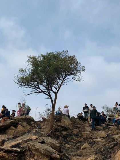 The Earth School - Nature & Community Engagement Programs Community in Action: Giving Back & Celebrating Together photo 50