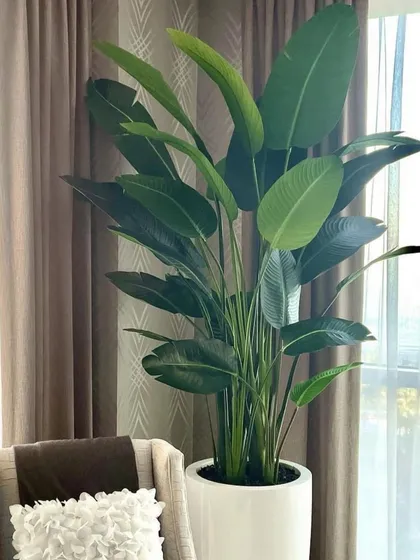 A close-up of a beautiful artificial bird of paradise plant in a clean white pot, placed next to a window in a home.