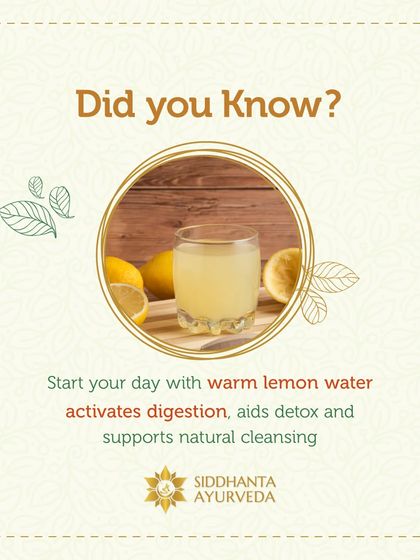 Siddhanta Ayurveda - Detox, Stress Relief & Rejuvenation Panchakarma: The Deep Detox Program photo 13