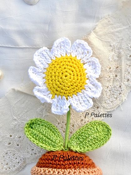 A close-up of our sweet potted crochet daisy. The clean white petals and sunny yellow center bring a fresh, happy vibe.