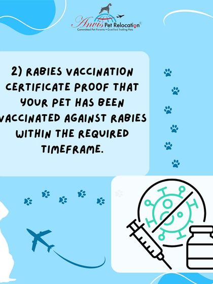 Anvis - Pet Relocation Preparing for Travel: Health, Safety & Documentation photo 3