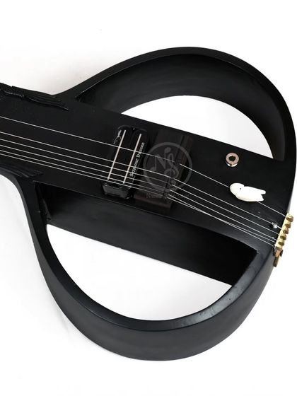 Electric Sitars (Zitars) photo 9