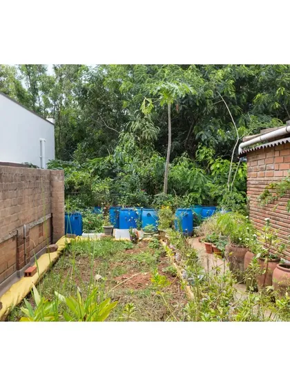 A view of the greywater treatment system at the Sans Souci Residence. We use a system of planted reed beds to naturally filter wastewater from the house, which is then reused for landscaping and flushing, closing the water loop on site.