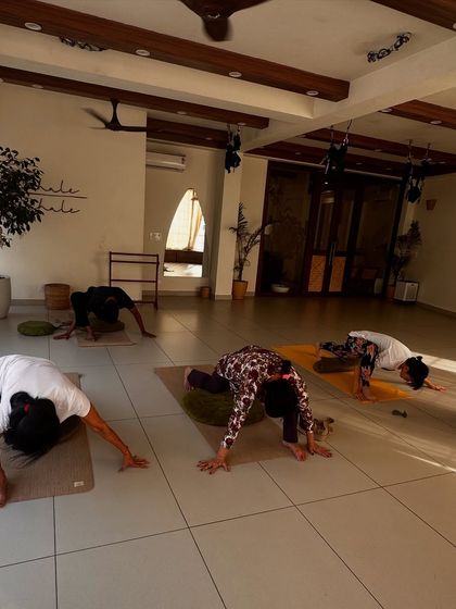 Students in a deep forward bend, a pose that calms the mind and stretches the spine and hamstrings.