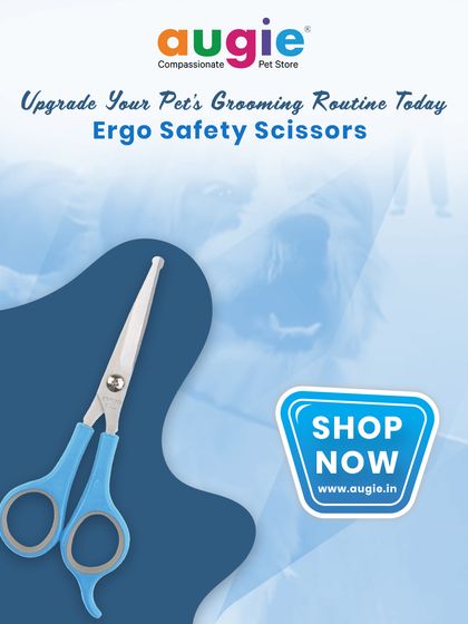 Augie Pets - Pet Supplies Spa Day at Home: Gentle Grooming Essentials photo 36