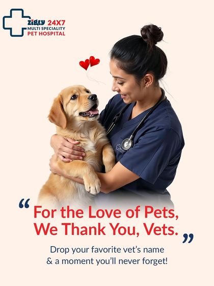 Zigly - Veterinary Services Our Expert Vets & Caring Team photo 13