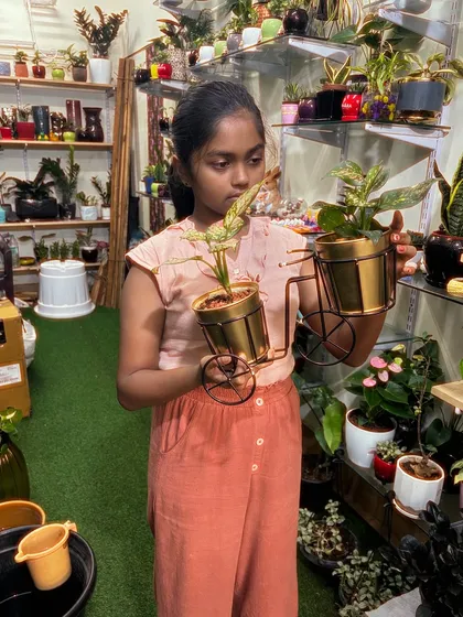 Our little guest found a favorite. She's admiring this unique plant in a golden, cart-shaped planter, one of the many quirky options I have in the store.