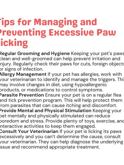 Woofly - Home Veterinary Services Common Health Questions photo 7