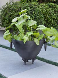 Planters & Garden Decor