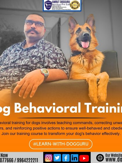 Dog Guru - Dog Behavior & Owner Consultation Training & Socialization Gallery photo 4