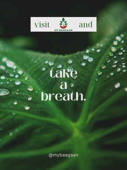 The Vibe: Our Green Oasis photo 34