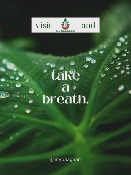 A reminder to take a breath. In the middle of our busy lives, it's important to pause. My Baagaan is the perfect place for that.