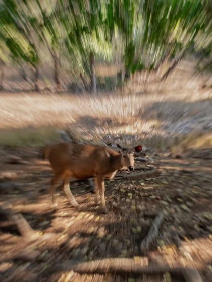 The Art of Seeing: Creative Compositions photo 20