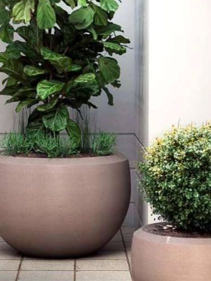 Our polymer planters are stylish, durable, and weather-resistant. These large, rounded pots are perfect for making a statement with a fiddle leaf fig or a neatly trimmed topiary.