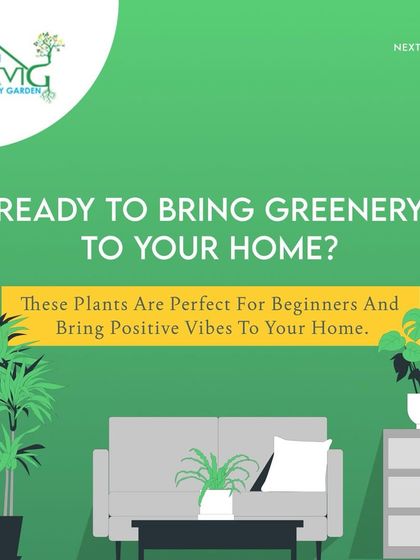 Make My Garden - Nursery & Gardening Store (Retail) Indoor & Air Purifying Plants photo 7