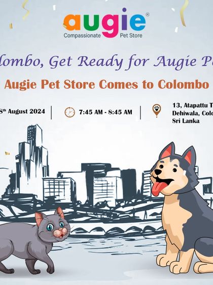 Augie Pets - Pet Grooming Services More from the Augie Pets Family photo 3